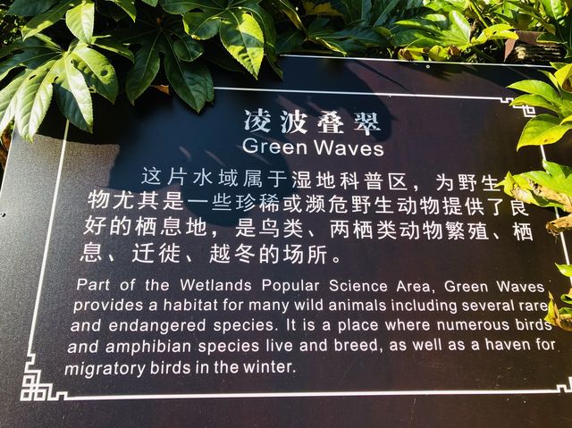 Green Waves at Shilihetan, Huaxi, Guiyang 