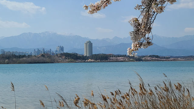 속초의 보석 영랑호