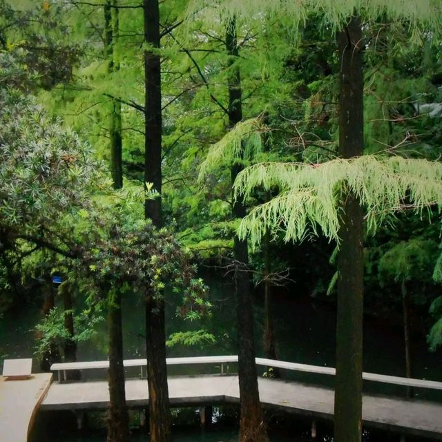 广州兰圃公园一日游