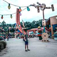 Disneyland Experience!