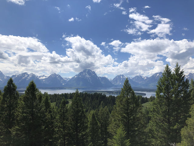 USA | Grand Teton National Park Photo Sharing 3 - Scenery on the Road