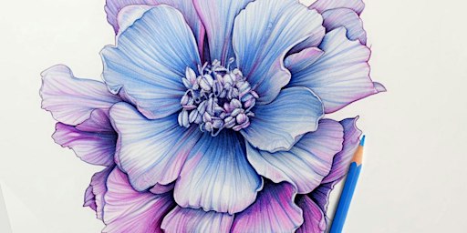 BOTANICAL ILLUSTRATION: DRAW A COLORFUL GARDEN | Exeter Fine Crafts