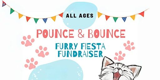 Pounce & Bounce | Bounce Empire