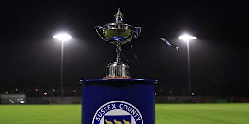 Sussex Women's Challenge Cup Final | Culver Road, Lancing