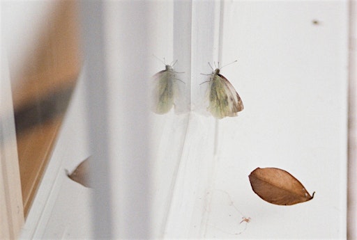 Mostra Johanna Tagada Hoffbeck – Soft, Soft | Mutty