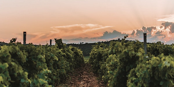 Taste of Languedoc Wine Dinner | Riverbank Bistro