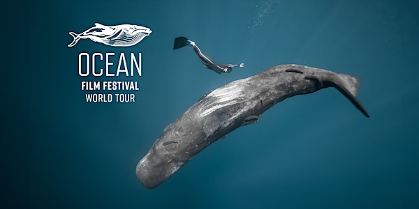Ocean Film Festival - Abingdon - 20 September 2025 | Amey Theatre