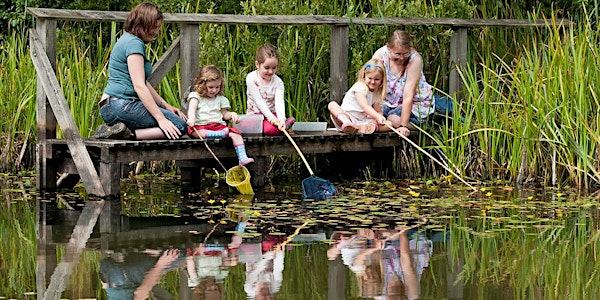 WILDFAMILIES Pond dipping at The Wolseley Centre | The Wolseley Centre