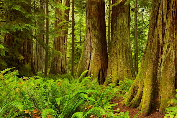 Reclaiming Justice for Indigenous Youth | Vancouver Island Conference Centre