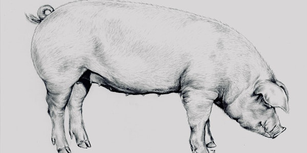 Whole Hog Butchery Workshop | J. Waldron Butchers
