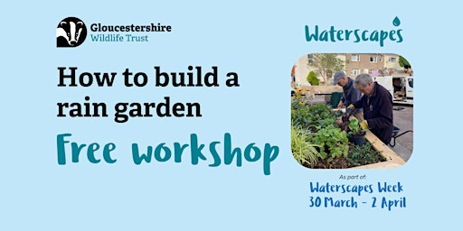 How to build a rain garden | Robinswood Hill Country Park