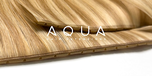 AQUA | NO SEW BUTTERFLY WEFT | LOOK & LEARN | PEORIA, IL | Salon 5th Avenue