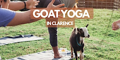 GOAT YOGA in Clarence | 5411 Briannas Nook