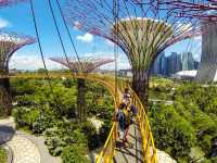 Gardens by the Bay