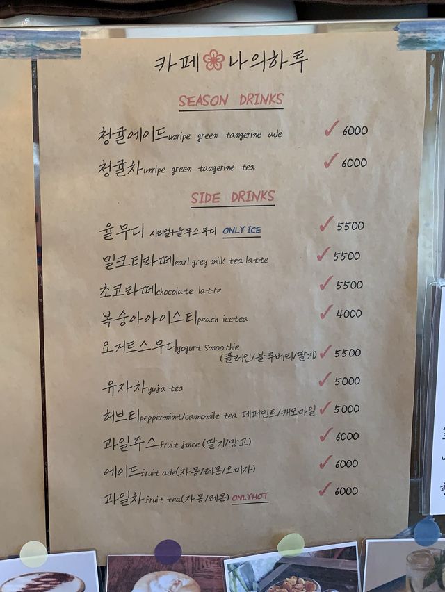 정동진 카페핫플 ‘나의하루’