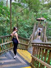 largest man-made waterfall in Jurong