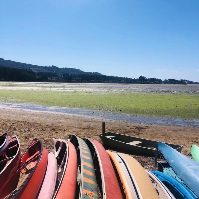 美國貝伍德公園（Baywood park)