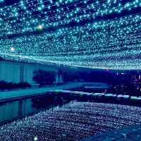 新莊幸福站🔮2022新北鯨彩中港光雕展🤩越夜越美麗✨