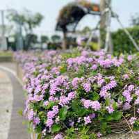 親親小動物 錦繡花園