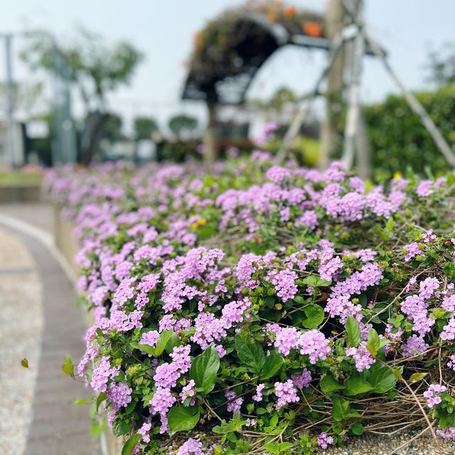 親親小動物 錦繡花園