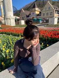 튤립보러 에버랜드로 떠나요