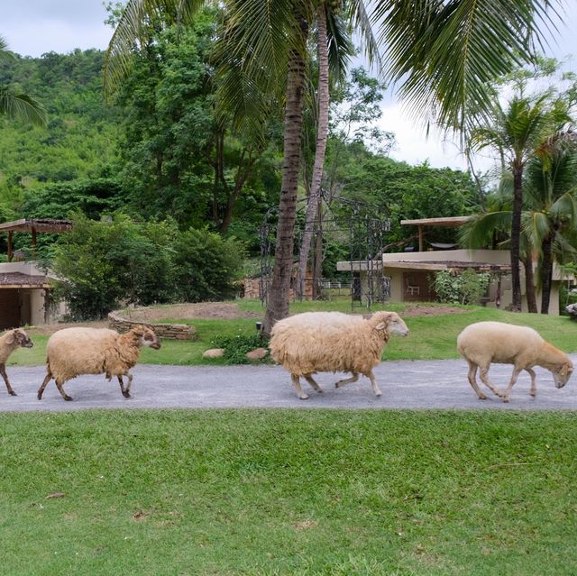 ที่พัก ที่เที่ยวใกล้กรุงที่น่ามาที่สุด