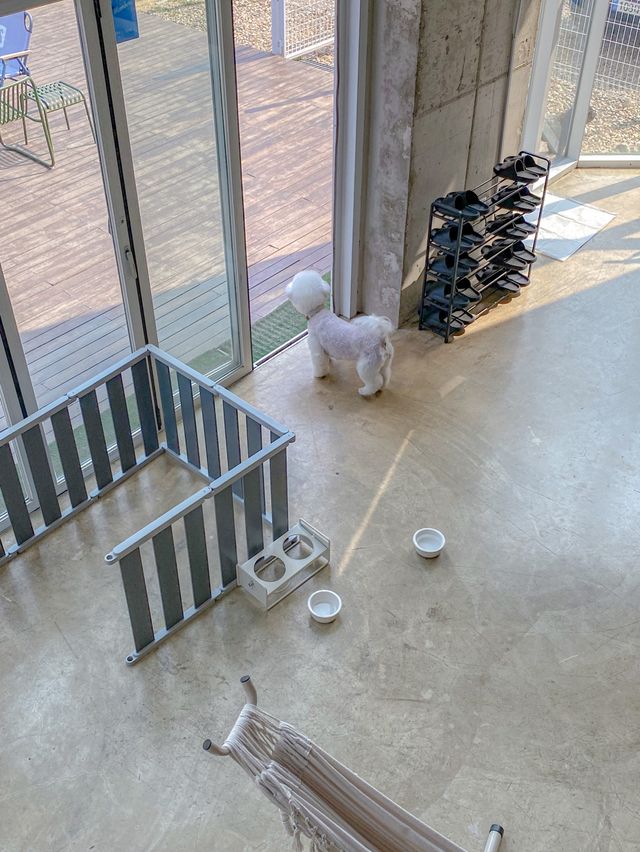 독채 펜션에서 반려견과 함께 힐링하기
