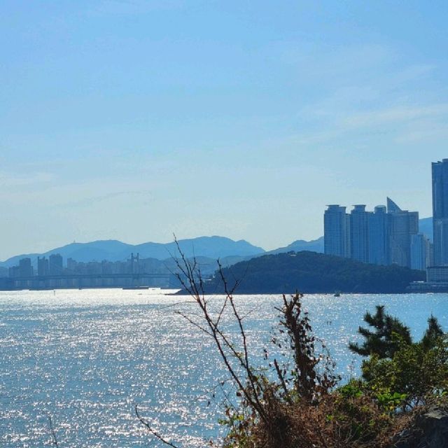 해운대 블루라인파크 해변열차 탑승기_바다를 한가득 담다