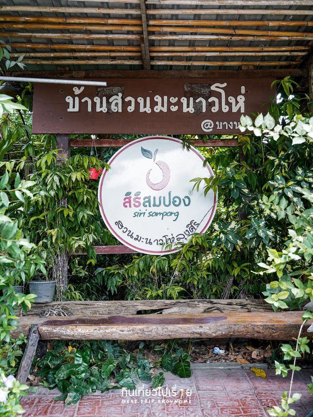 🌳🍹สิริสมปอง สวนมะนาวโห่ริมน้ำสมุทรสงคราม