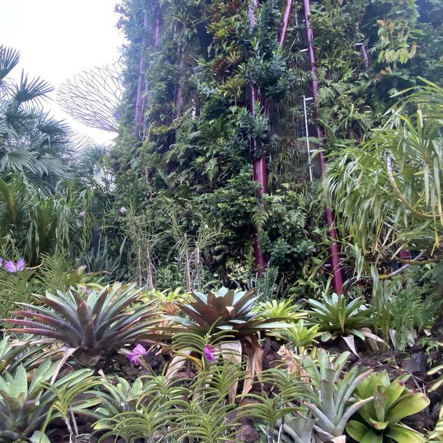 Gardens by the Bay