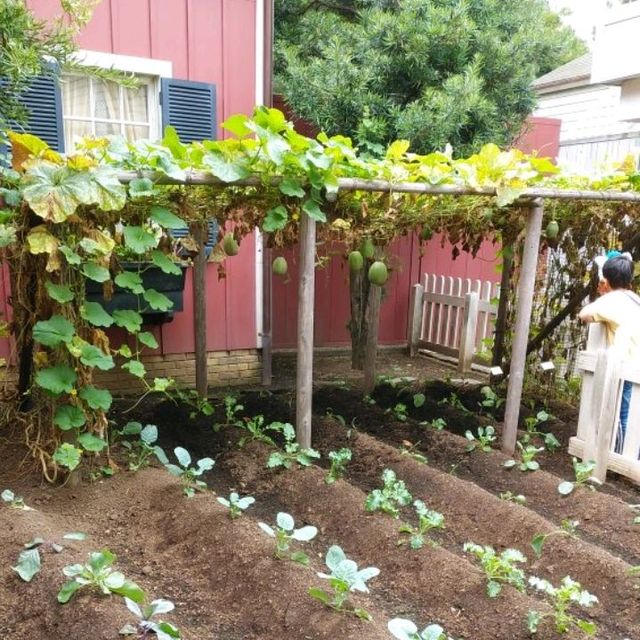 東京ディズニーシーの野菜と花壇