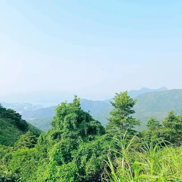 秋高氣爽，飛鵝山道，心曠神怡！