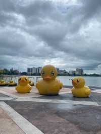 สวนสาธารณะหนองประจักษ์@อุดร