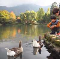 湯布院❤️此生必去九州景點‼️古色古香小店
