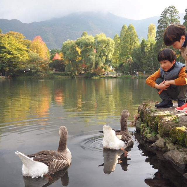 湯布院❤️此生必去九州景點‼️古色古香小店