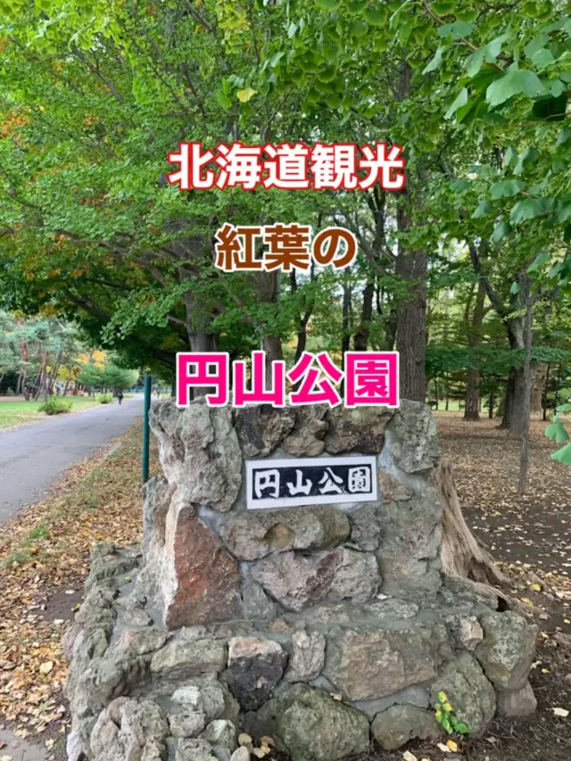 札幌　札幌観光　札幌のオアシス　紅葉の円山公園を散策！