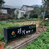 出差的小確幸-阿里山公路