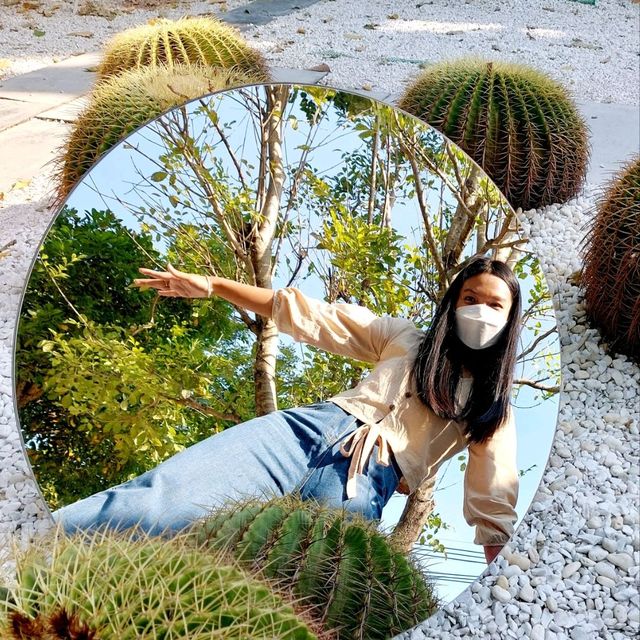 Breeze Box Cafe x Cactus พัทยา