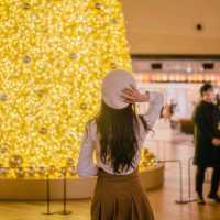 🎄거대한 황금빛 트리를 만날 수 있는 외국감성 도서관 [서울, 별마당도서관]