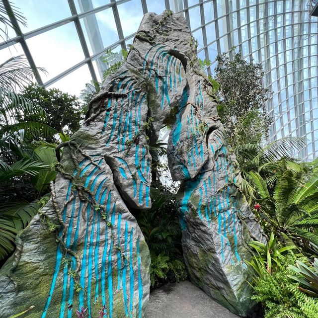 Avatar Cloud Forest launch