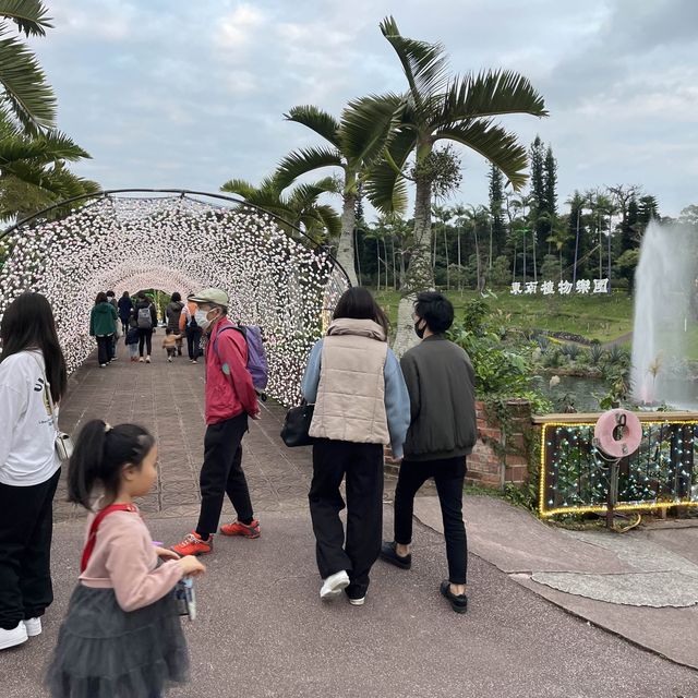 東南植物楽園のイルミネーション