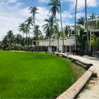 A village style for gateway and photography!