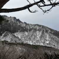 한라산에 눈이 얼마나 쌓였는지 궁금하시죠?☃️🙂
