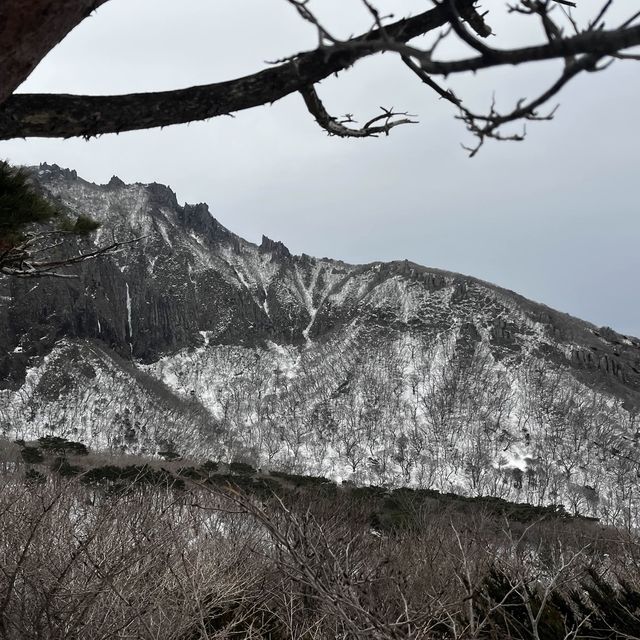 한라산에 눈이 얼마나 쌓였는지 궁금하시죠?☃️🙂
