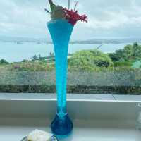熱帯植物がきれい