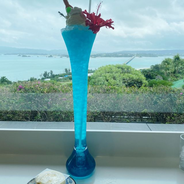 熱帯植物がきれい