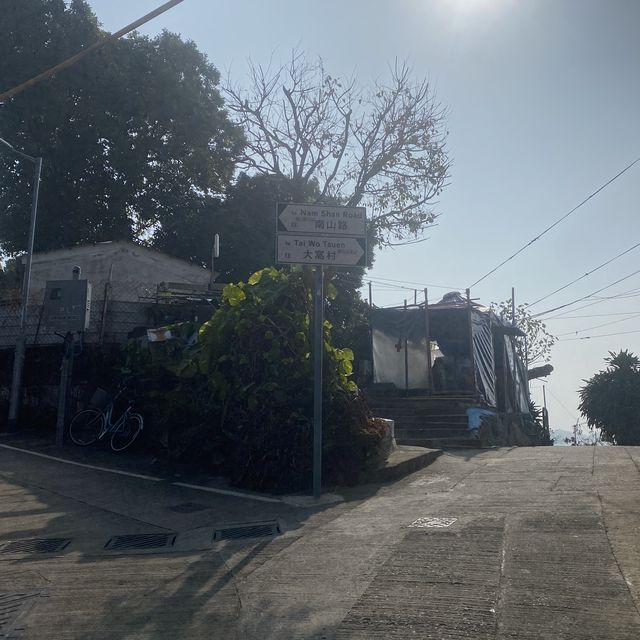 坪洲必行路線