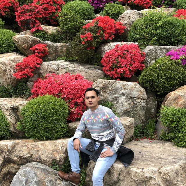 Everland Theme Park