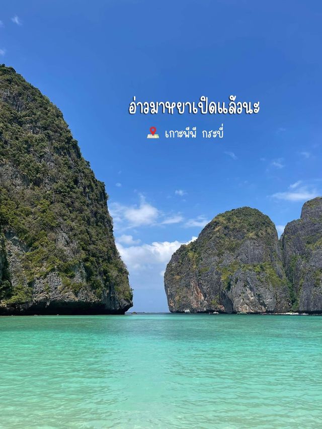อ่าวมาหย่า เปิดแล้วนะ