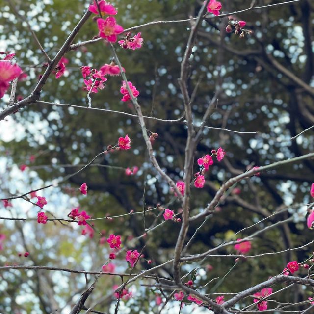 グランドプリンスホテル高輪の日本庭園